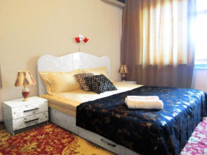 Bishkek City Apartments